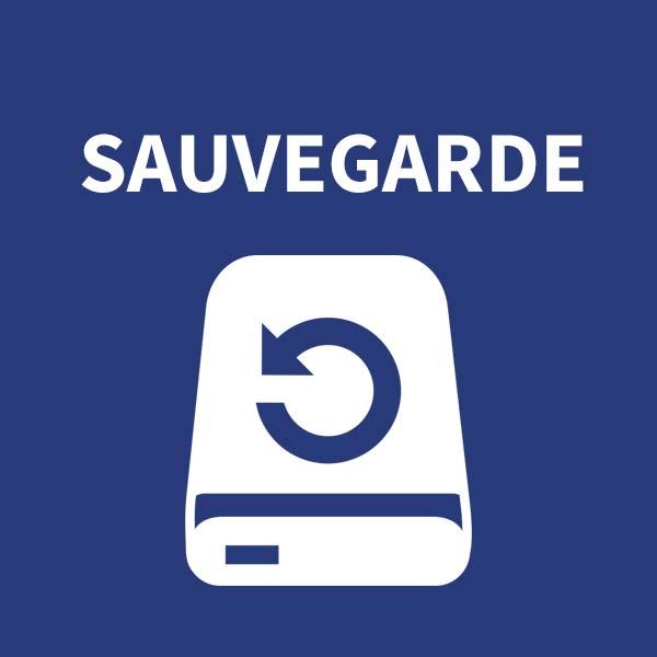 Les différents types de sauvegardes : choisir la meilleure solution